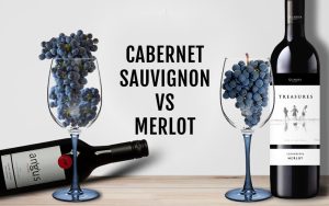 Merlot vs Cabernet