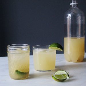 Ginger beer alcoholic recipe