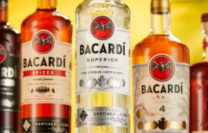 Is Bacardi Rum or Vodka