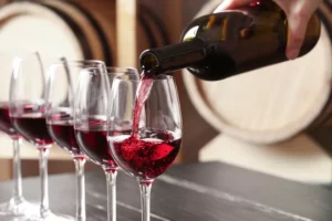 Sweet Red Wines for Beginners
